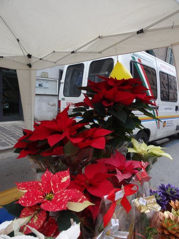 Vendita delle stelle