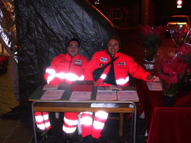 Vendita delle stelle di Natale